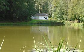Deux Etangs Poissonneux Au Milieu Des Bois Avec Gite Moderne, La Halte Des Deux Lacs