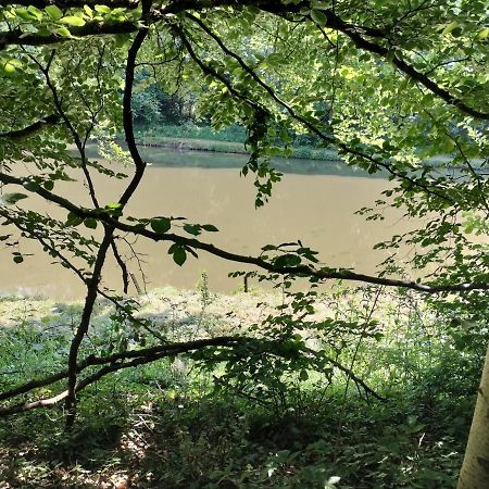 Deux Etangs Poissonneux Au Milieu Des Bois Avec Gite Moderne, La Halte Des Deux Lacs Rosée Exterior foto