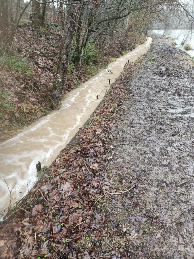 Deux Etangs Poissonneux Au Milieu Des Bois Avec Gite Moderne, La Halte Des Deux Lacs Rosée Exterior foto