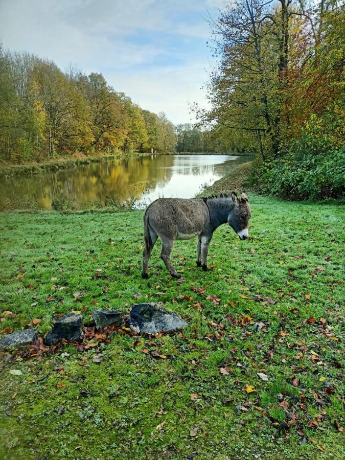 Deux Etangs Poissonneux Au Milieu Des Bois Avec Gite Moderne, La Halte Des Deux Lacs Rosée Exterior foto