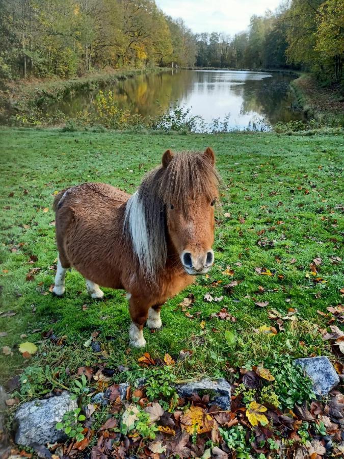 Deux Etangs Poissonneux Au Milieu Des Bois Avec Gite Moderne, La Halte Des Deux Lacs Rosée Exterior foto