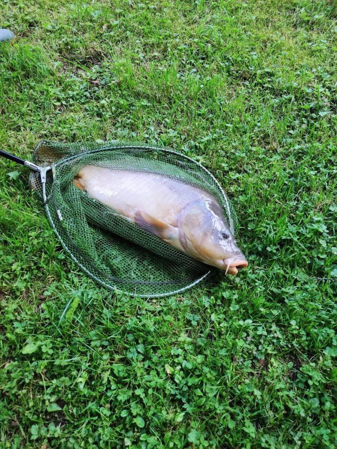 Deux Etangs Poissonneux Au Milieu Des Bois Avec Gite Moderne, La Halte Des Deux Lacs Rosée Exterior foto