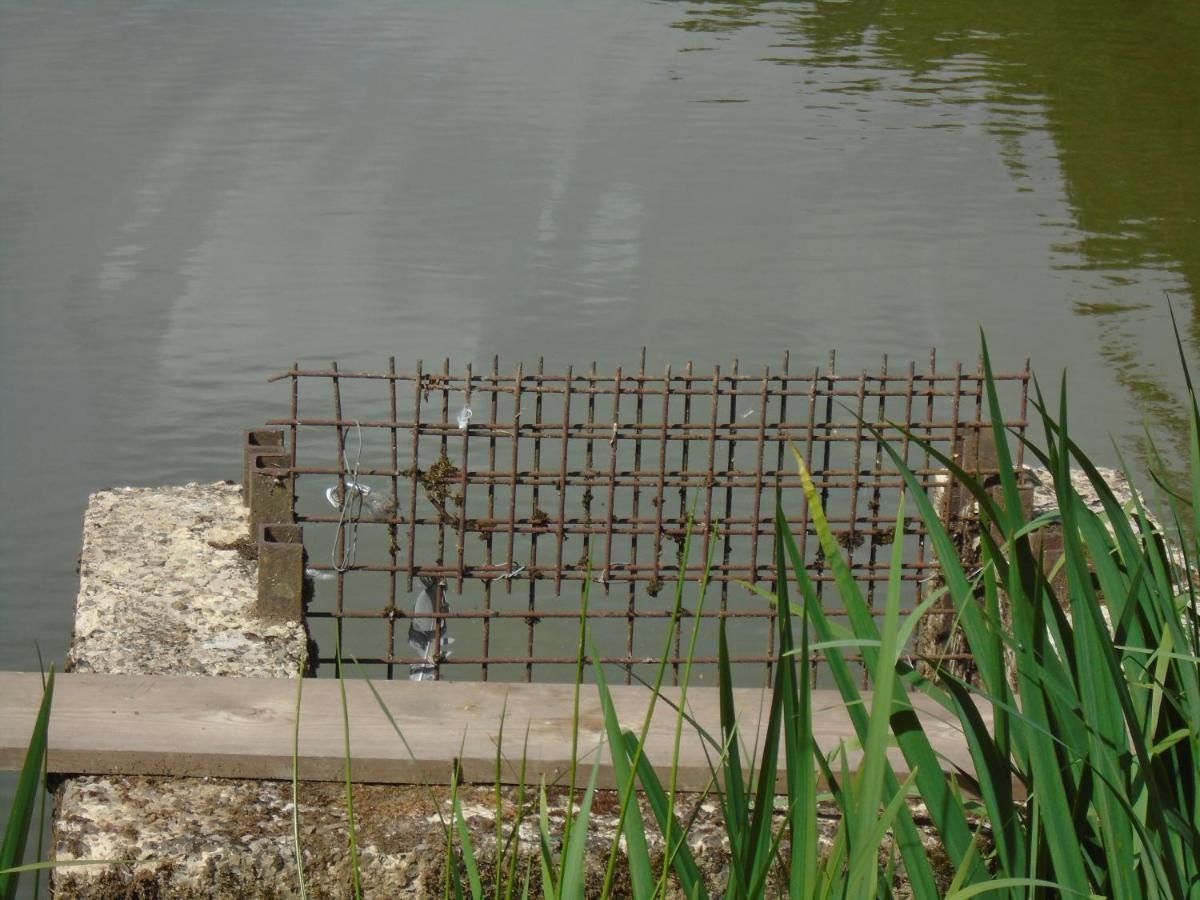 Deux Etangs Poissonneux Au Milieu Des Bois Avec Gite Moderne, La Halte Des Deux Lacs Rosée Exterior foto