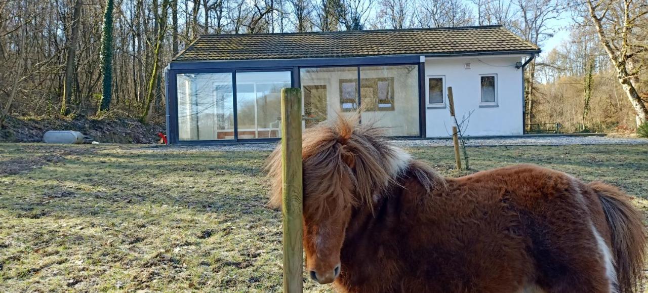 Deux Etangs Poissonneux Au Milieu Des Bois Avec Gite Moderne, La Halte Des Deux Lacs Rosée Exterior foto