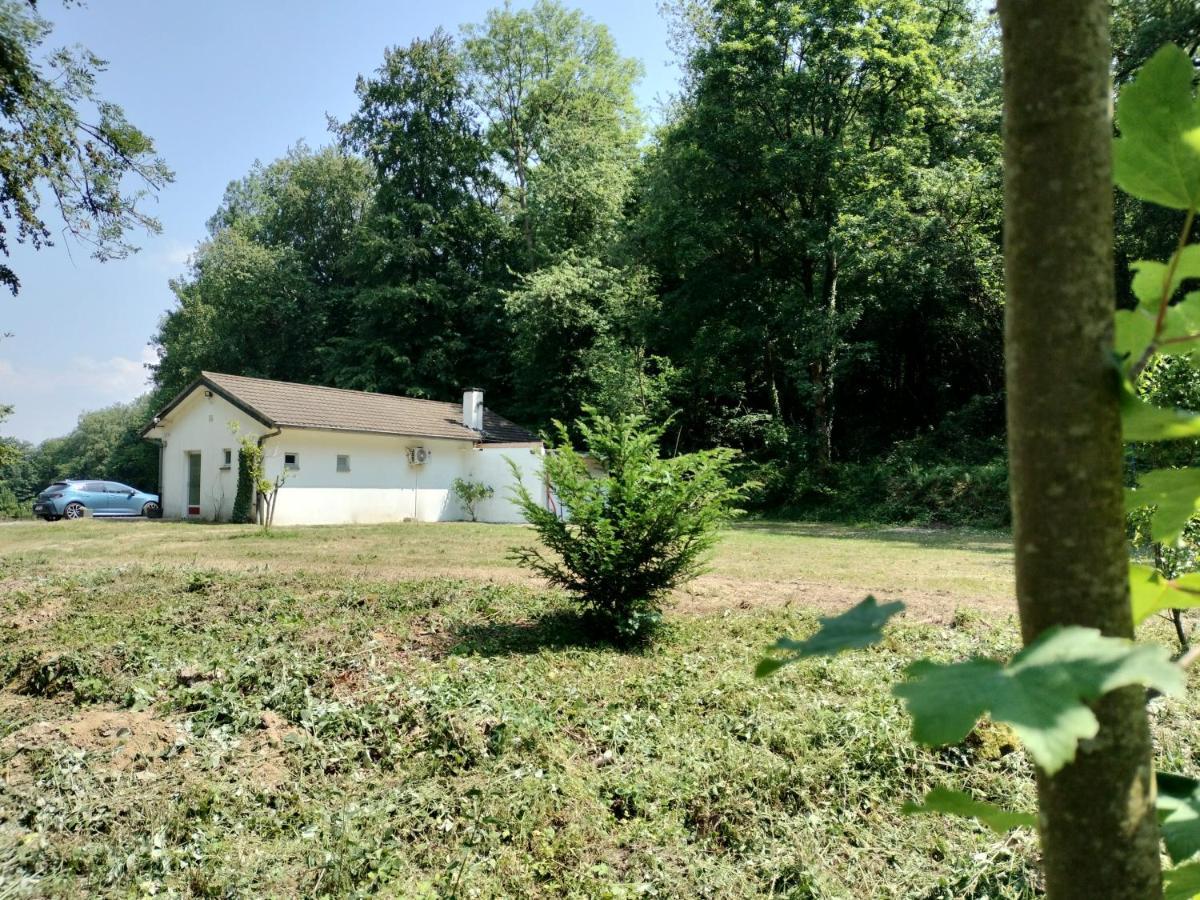 Deux Etangs Poissonneux Au Milieu Des Bois Avec Gite Moderne, La Halte Des Deux Lacs Rosée Exterior foto