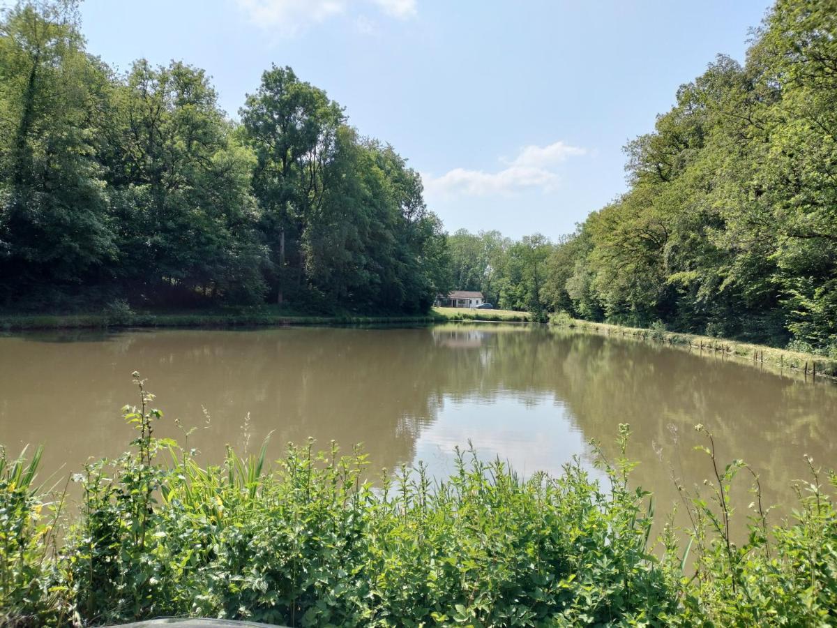 Deux Etangs Poissonneux Au Milieu Des Bois Avec Gite Moderne, La Halte Des Deux Lacs Rosée Exterior foto
