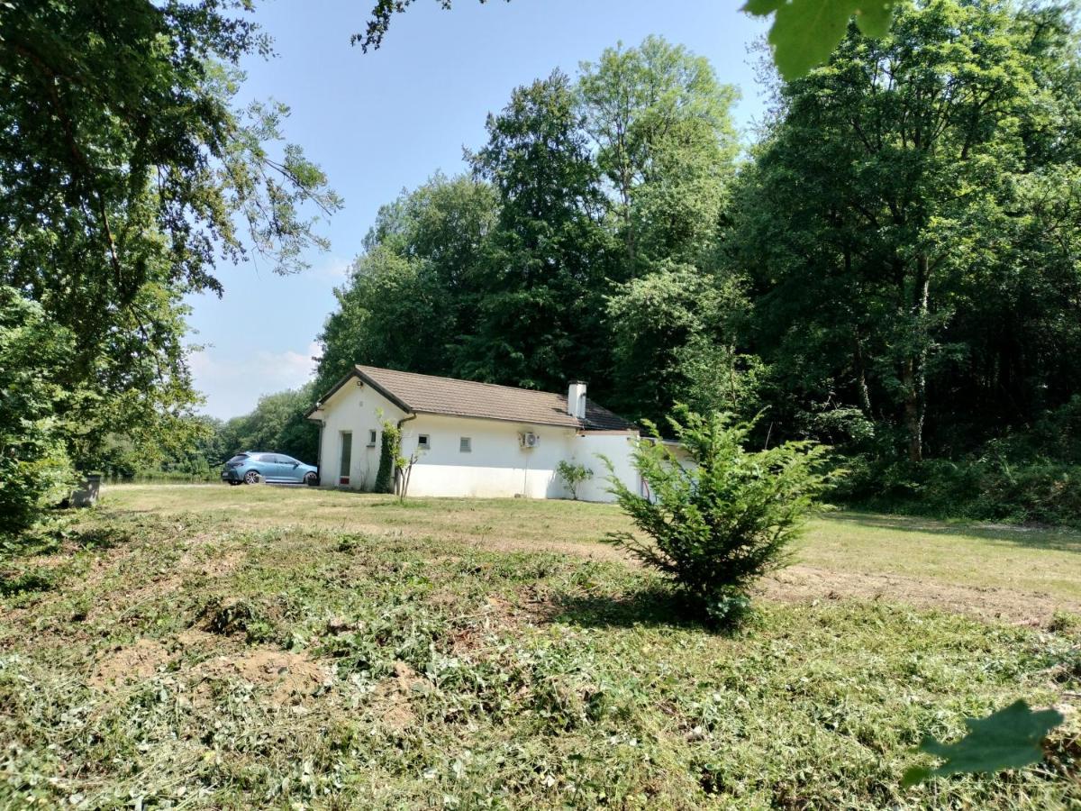 Deux Etangs Poissonneux Au Milieu Des Bois Avec Gite Moderne, La Halte Des Deux Lacs Rosée Exterior foto